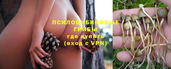 ALPHA PVP Козловка