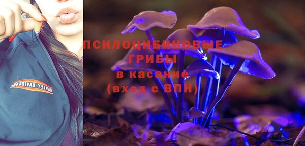 спиды Козельск