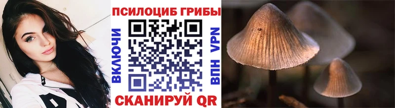 Купить  Белый  Галлюциногенные грибы мухоморы 